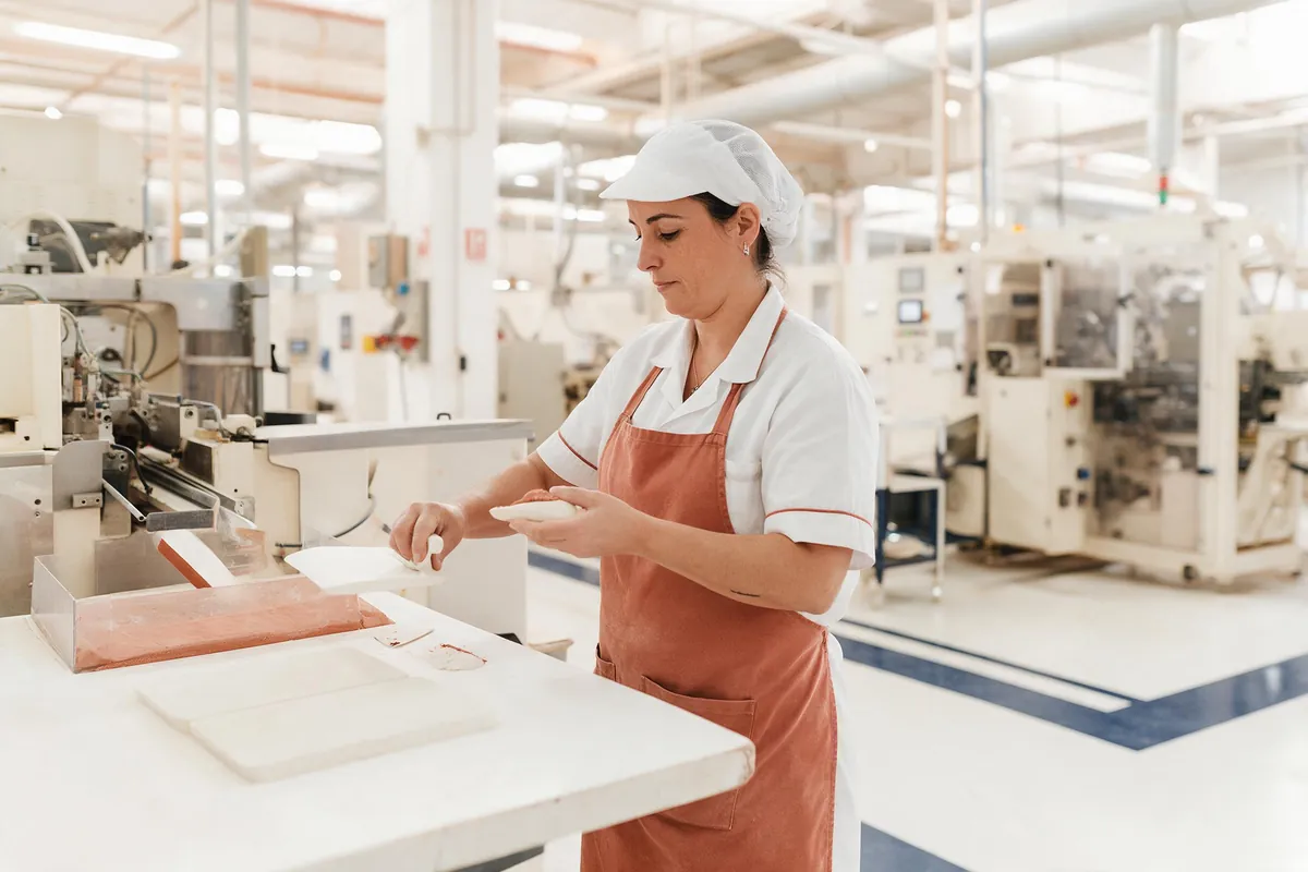 Industria y fábricas en Gandia — Neteges Litoral